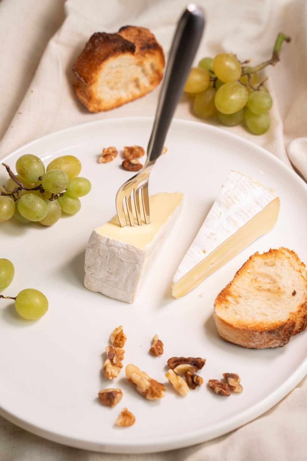 Remplir le texte alternatif